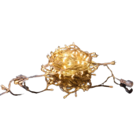 Pisca 100 Led
