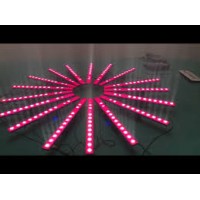 Ribalta Camaleao 14leds BRQ+96leds rgbw